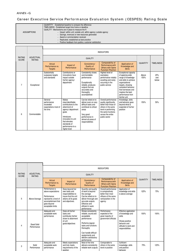 Executive Performance Ratings | PDF | Performance Appraisal | Innovation
