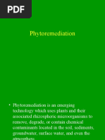 Download Phytoremediation by Willy Fandri SN47504221 doc pdf