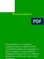 Phytoremediation