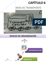 CAPÍTULO 6 - Mecanismos de transporte (2016)