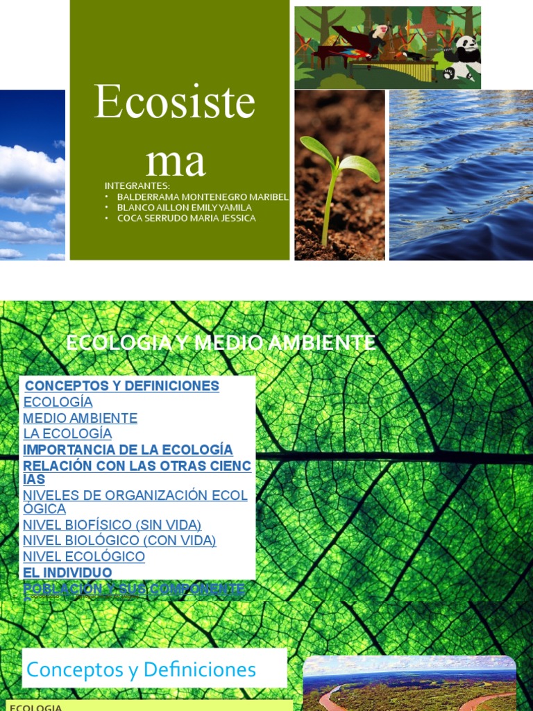 Ecología y Medio Ambiente: Conceptos Clave | PDF | Población mundial ...