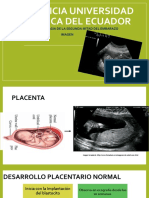 Hemorragias Obstetricas Segunda Mitad Del Embarazo