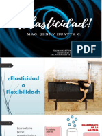 1 - Elasticidad-LECCION 01 PDF