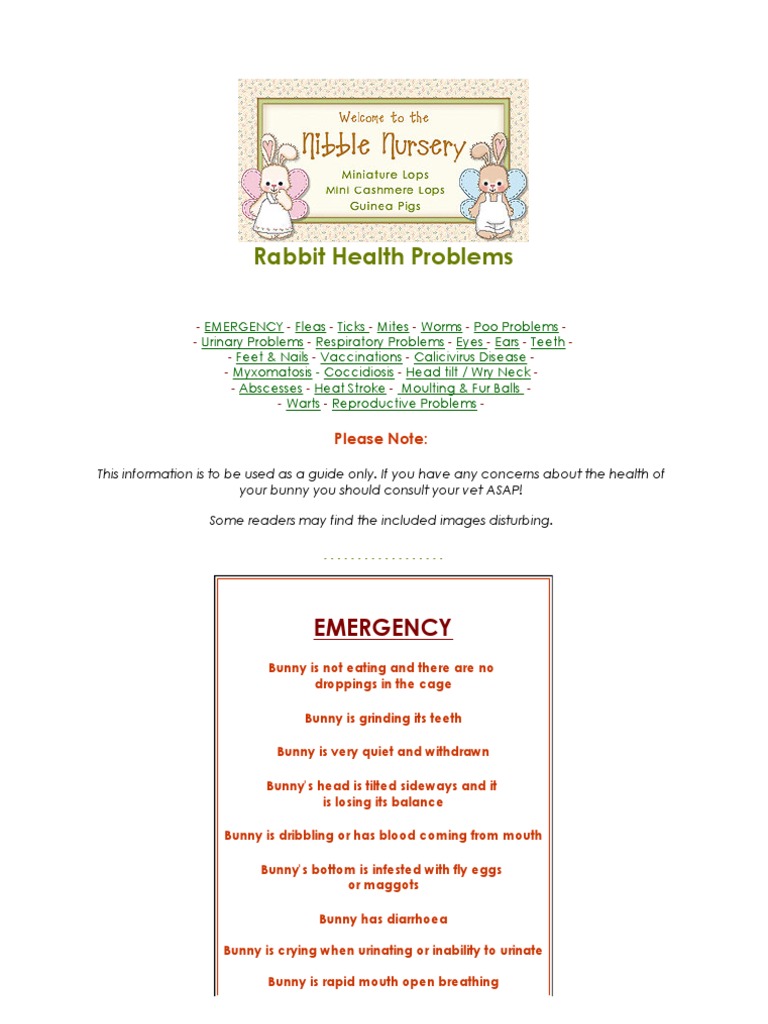 Nibble Nursery Rabbit Care Health Urinary Tract Infection