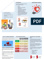 Triptico Presion Alta