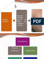 Estrias PDF