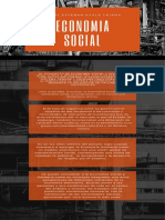 Economia Social PDF