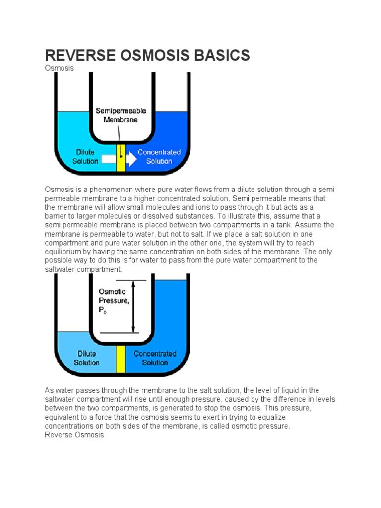 Reverse Osmosis Basics | PDF | Osmosis | Membrane