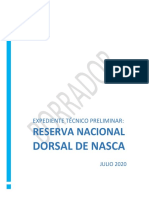 Expediente Técnico Preliminar RNDN Versión Julio 2020 PDF