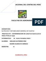 Determinacion de La Longitud Radicular Del Cultivo de Trigo PDF