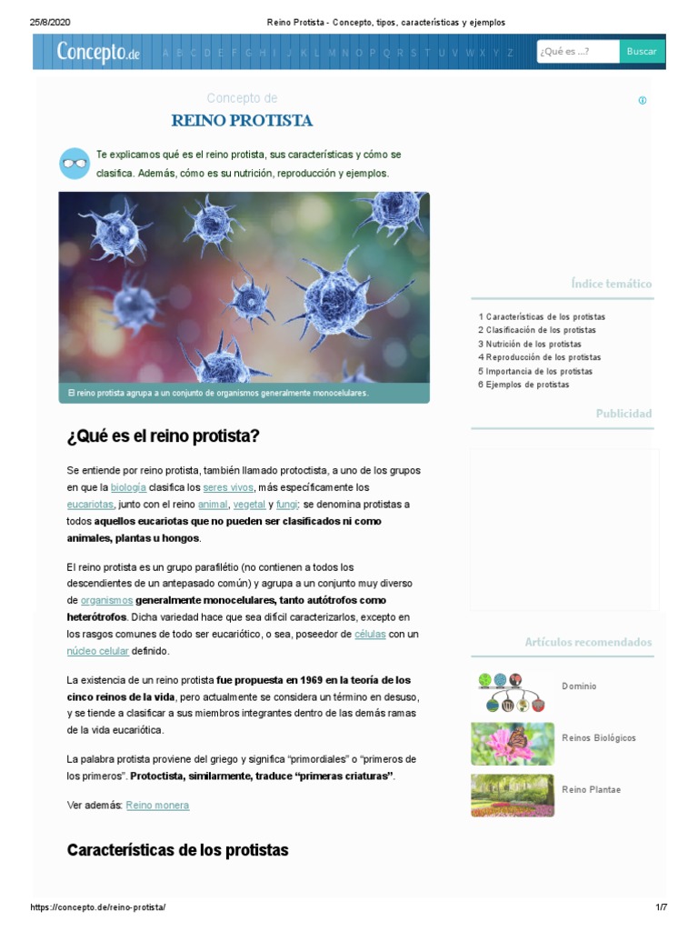 Reino Protista - Concepto, Tipos, Características y Ejemplos | PDF |  Eucariotas | Plantas