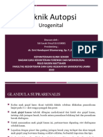 Teknik Autopsi Urogenital