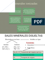 Sales Minerales Ionizadas
