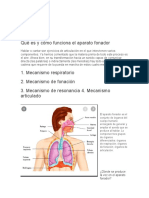 Qué Es y Cómo Funciona El Aparato Fonador