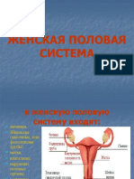 Презантация с сайта www.skachat-prezentaciju-besplatno.ru - 01300202.pptx