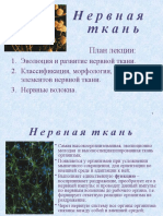 Презантация с сайта www.skachat-prezentaciju-besplatno.ru - 01300205