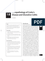 Histopathology of Crohn's Disease and Ulcerative Colitis: Section 3