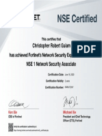 Christopher Robert Guiam NSE - 1 - Certificate