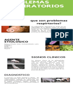 Infografía Problemas Respiratorios PDF