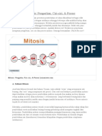 Mitosis