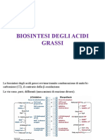 02 - Biosintesi Acidi Grassi - Fosfolipidi - Prostaglandine PDF