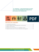 lineamientos_normas_requerimientos.pdf