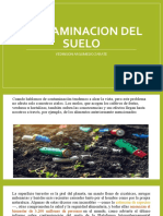 Contaminacion Del Suelo