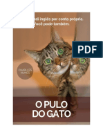 O Pulo Do Gato Charlles Nunes 2017 PDF