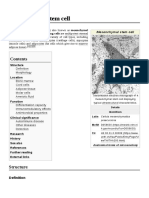 Mesenchymal Stem Cell PDF