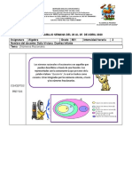 Guia Academica Numeros Racionales Algebra 8vo Modificado