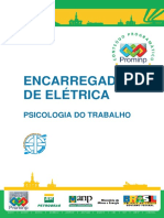 Enc Eletrica - Psicologia Trabalho.pdf