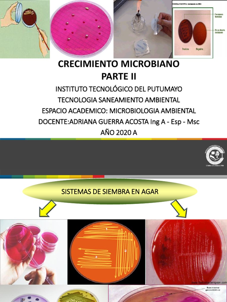crecimiento-microbiano-parte-2-pdf-pdf-microbiolog-a-microscop-a