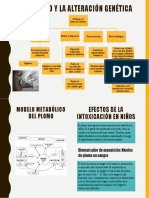 El Plomo y La Alteración Genética