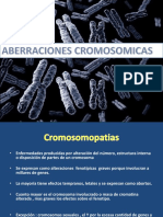 Aberraciones Acrosomicas