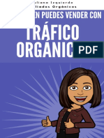 Ebook Organic Traffic PDF