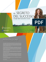 Il Segreto Del Successo