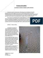 Eseu - Solutii PDF