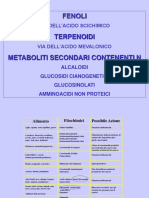 Prof. Ranieri - Composti Fenolici PDF