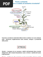 metaboliti-e-difesa