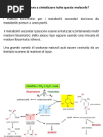 mattoni-biosintetici-e-siti-di-accumulo-dei-met-sec.pdf
