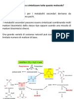 Mattoni Biosintetici e Siti Di Accumulo Dei Met Sec PDF