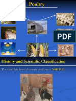 Chapter 6 Poultry Production