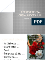 Perseverența - Cheia Succesului