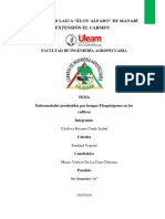 Enfermedades Causadas Por Hongos PDF