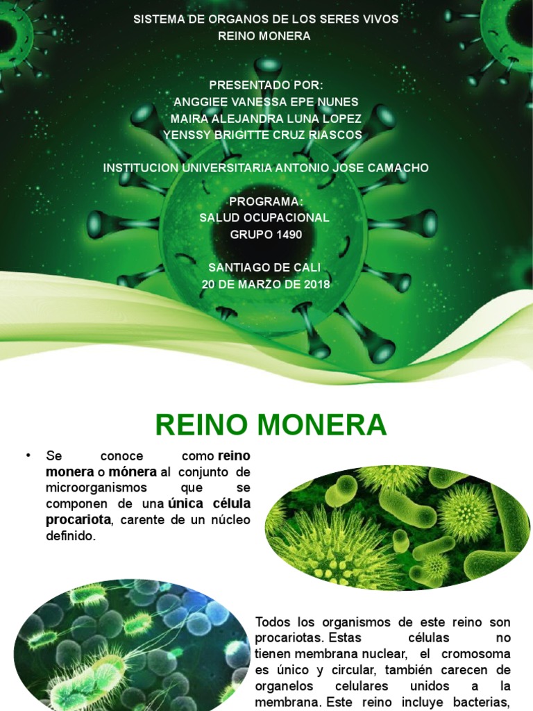 Exposicion Reino Monera | PDF | Las bacterias | Biología Celular)