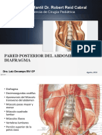 Pared Posterior Del Abdomen