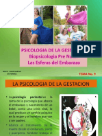 Psicologia de La Gestación