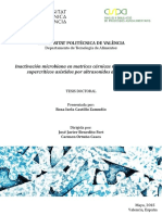 Castillo - Inactivación microbiana en matrices cárnicas mediante fluidos supercríticos asistidos ....pdf