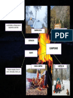 Elabora Un Organizador Visual Sobre PDF