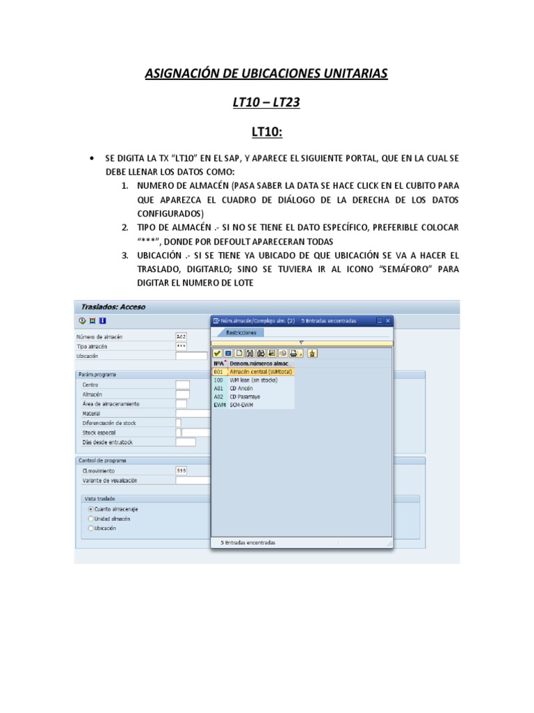 Asignación de Ubicaciones en SAP LT10-LT23 | PDF | Informática | Science